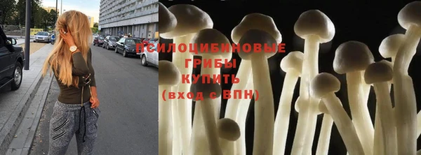 мяу мяу кристалл Билибино