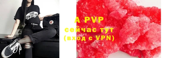 винт Осташков