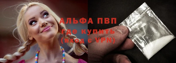 винт Осташков