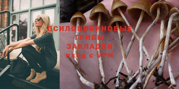 винт Осташков