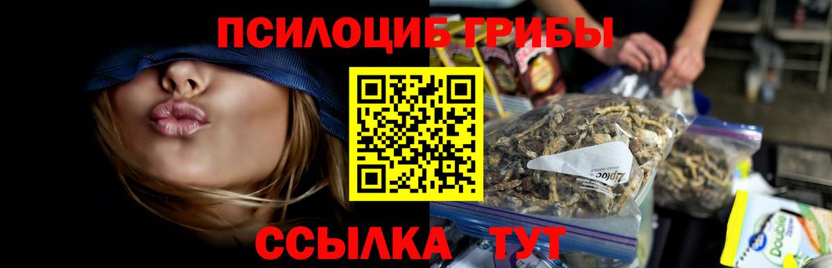 Псилоцибиновые грибы Magic Shrooms Санкт-Петербург