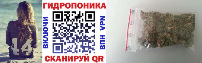 закладки  Санкт-Петербург  Каннабис планчик 